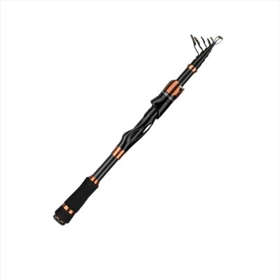 Telescopic Lure Fishing Rod – Portable Carbon Fiber Casting & Spinning Rod with  Handle, Large Ceramic Guides, TravelFriendly Short Collapsed Length